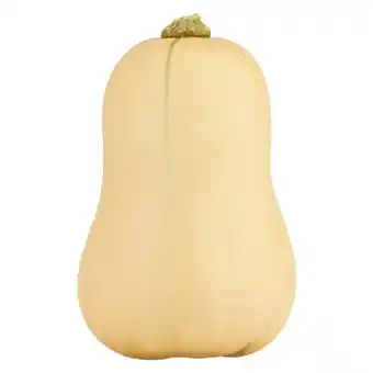 Market Fresh Butternut 6kg