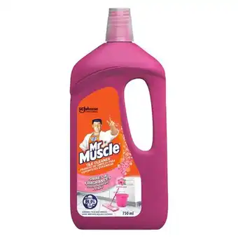 Pick n Pay Liquor Mr Muscle Potpourri Tile Cleaner 750ml offer