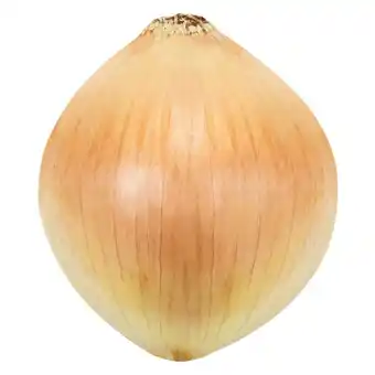 Pick n Pay Liquor Market Fresh Onions 4kg offer