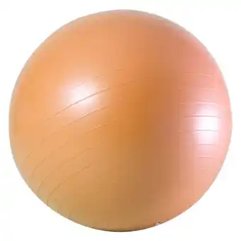Pick n Pay Liquor LiveFit Gym Ball 55cm offer