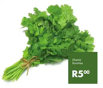 Dhania Bunches