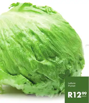 Save Lettuce Punnet offer