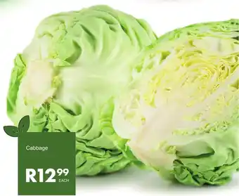 Cabbage