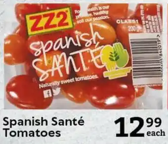 Spanish Santé Tomatoes