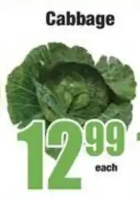 Boxer Cabbage offer