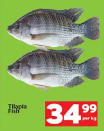 Check Save Tilapla Fish offer