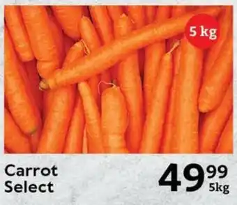 Oxford Freshmarket Carrot Select offer