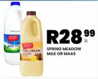 Take 'n Pay SPRING MEADOW MILK OR MAAS offer