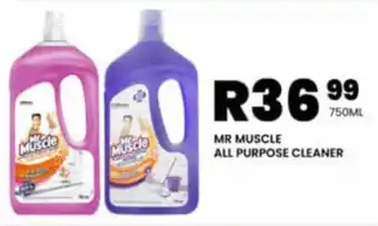 Take 'n Pay MR MUSCLE ALL PURPOSE CLEANER offer