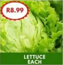 LETTUCE EACH