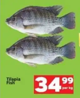 Check Save Tilapia Fish offer