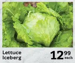 Oxford Freshmarket Lettuce Iceberg offer
