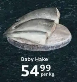 Baby Hake