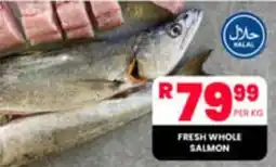 Take 'n Pay FRESH WHOLE SALMON offer