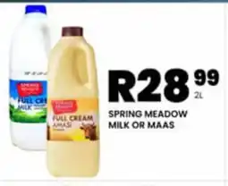 Take 'n Pay SPRING MEADOW MILK OR MAAS offer