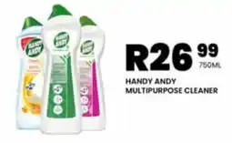 Take 'n Pay HANDY ANDY MULTIPURPOSE CLEANER offer