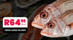 Take 'n Pay FRESH LARGE SILVERS offer