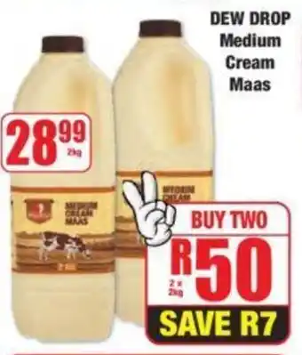 Boxer DEW DROP Medium Cream Maas offer