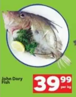 John Dory Fish