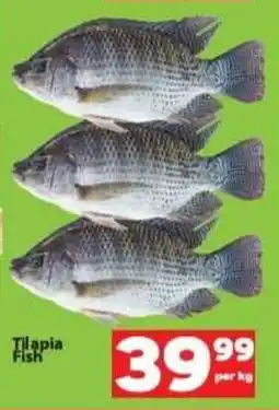 Check Save Tilapia Fish offer