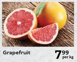 Oxford Freshmarket Grapefruit offer