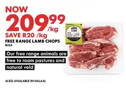 Woolworths FREE RANGE LAMB CHOPS BULK offer