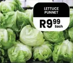 LETTUCE PUNNET