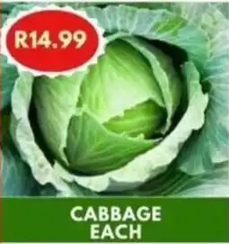 CABBAGE EACH