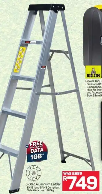 Pick n Pay Terra Firma 5-Step Aluminum Ladder offer