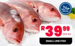 Take 'n Pay SMALL LINE FISH offer