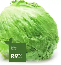 Save Lettuce Punnet offer