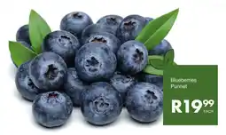 Save Blueberries Punnet offer