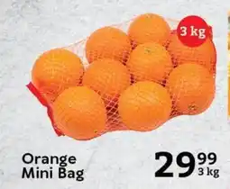 Oxford Freshmarket Orange Mini Bag offer
