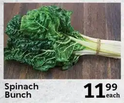 Spinach Bunch