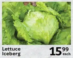 Lettuce Iceberg