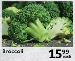 Broccoli