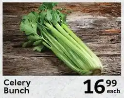 Oxford Freshmarket Celery Bunch offer
