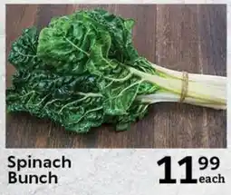 Oxford Freshmarket Spinach Bunch offer