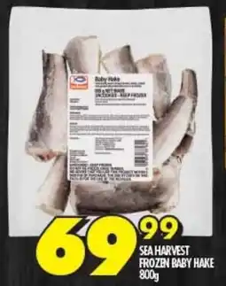 Shoprite SEA HARVEST FROZEN BABY HAKE 800g offer