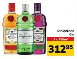 Manzini Cash & Carry TANQUERAY Gin offer