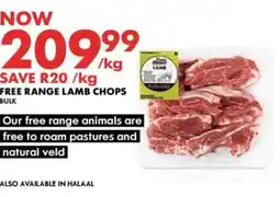 FREE RANGE LAMB CHOPS BULK