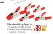 5 Piece metal Spring Clamps Set