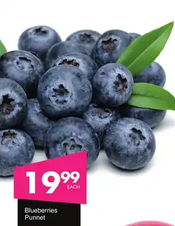 Save Hyper Blueberries Punnet offer