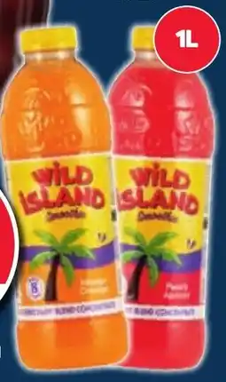 Pick n Pay Wild Island Dairy Blend Assorted 1 Litre offer
