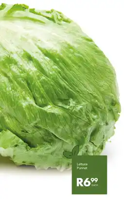 Save Lettuce Punnet offer