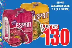 Boxer Liquors ESPRIT ASSORTED CANS 2 X (4 X 500ML) offer