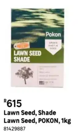 Pokon - lawn seed, shade lawn seed, 1kg