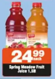 Spring Meadow Fruit Juice