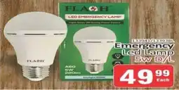 Emergency Led Lamp 5w D/L