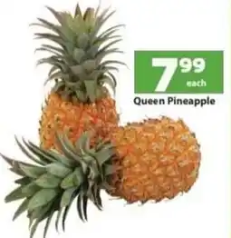Check Save Queen Pineapple offer